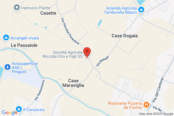 Niccolai giovan Battista