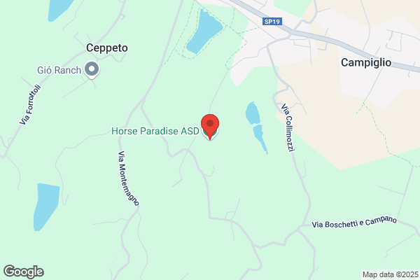 Associazione Sportiva Trofeo Di Abilita A Cavallo
