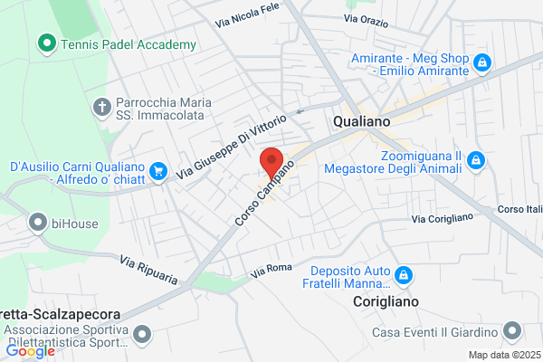 Morra placida