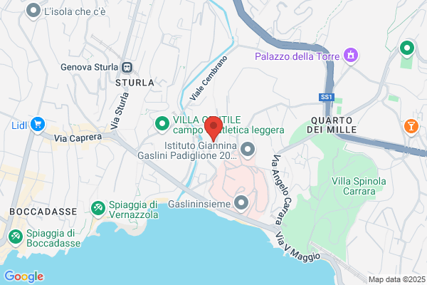 Professione Service Sas