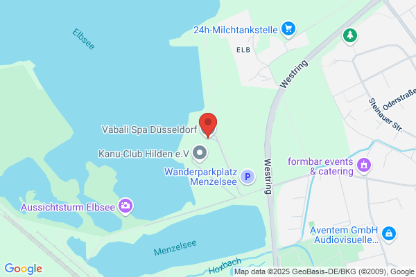 V.I.Sab. Spa
