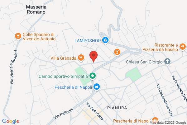 Assistenza Caldaie Napoletana Gas