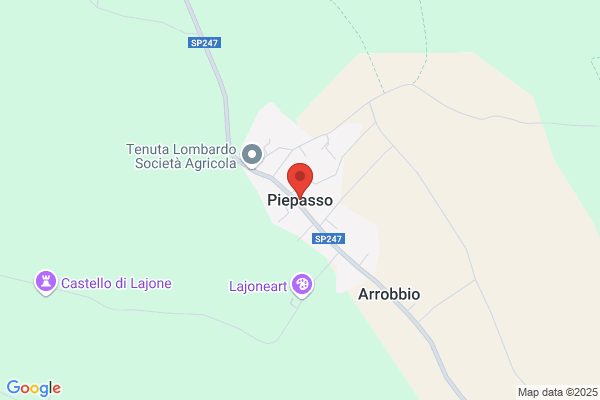 Selepier Srl