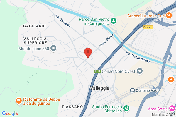 Giusto Dario