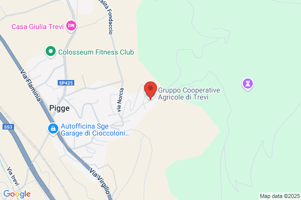 Trevi Coop. Societa Cooperativa A R.L.