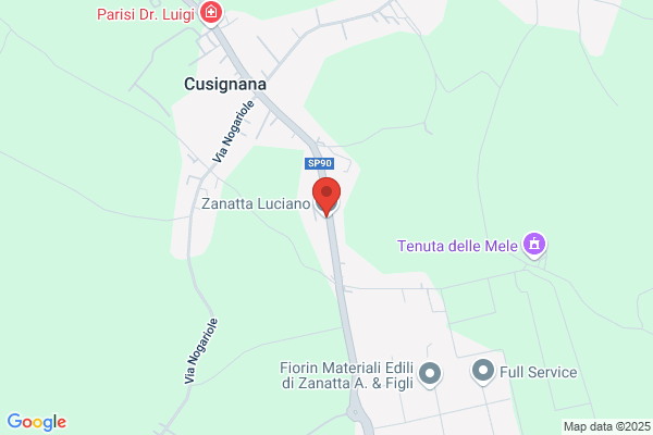 Zanatta luciano