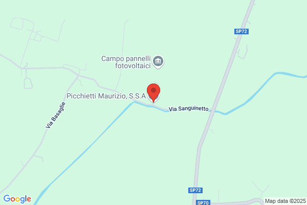 Picchietti maurizio