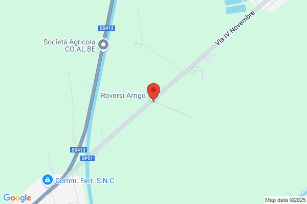 Roversi adelmo