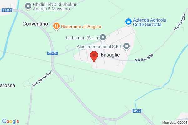 Tecnoelettric Di A. Casoni E C. (S.N.C.)