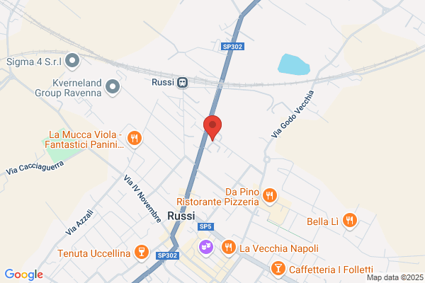 Consorzio Per I Servizi Sociali Di Ravenna, cervia, Russi, azienda usl