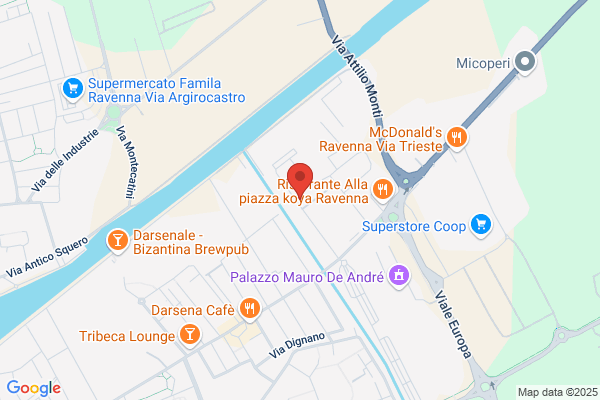 Officina Babini Di Strocchi Loris E Ferri gianfranco S.N.C.
