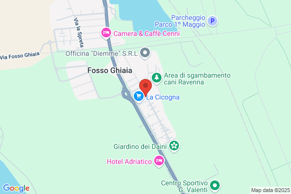 Gli Amici di Nonna Elsa