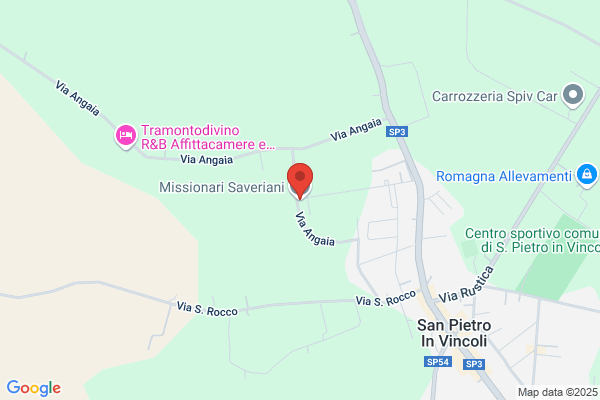 Missionari Saveriani