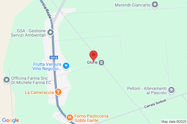 Romagna Disinfestazioni Srl