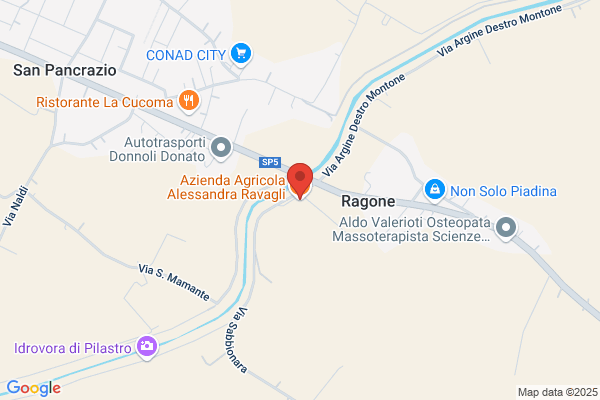 Ravagli renza