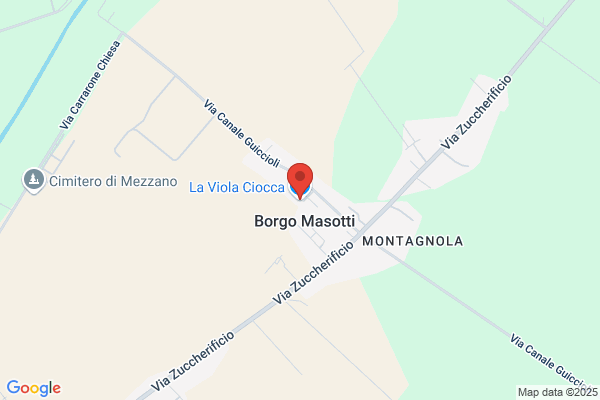 La Viola Ciocca Di Morini Cristina