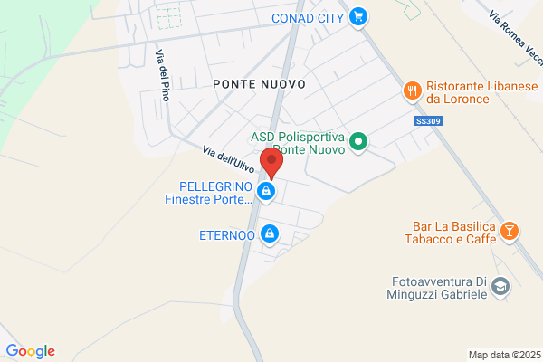 Edilcostruzioni P.A.P.A.S.A.S.