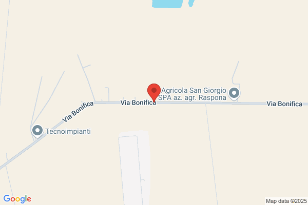 Lo Giudice vincenzo
