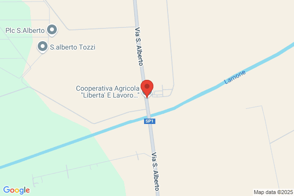Lupino tore