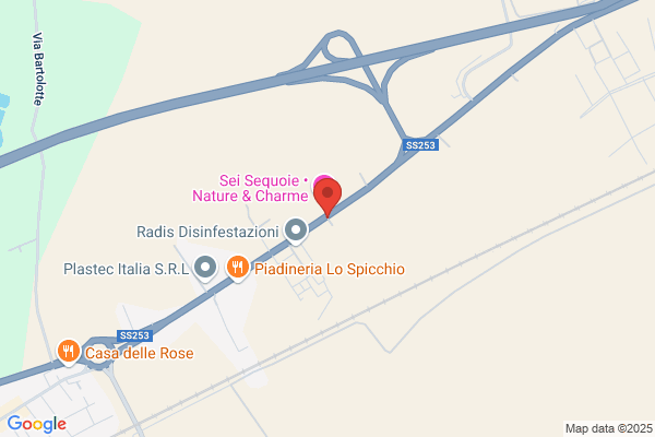 Patuelli cirillo