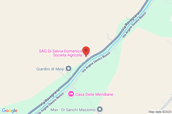 La Ravegnana Di Vincenzi Enzo E Scarpi Ester
