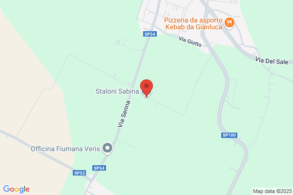 Staloni sabina