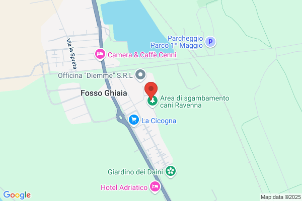 Sond-Pozzi