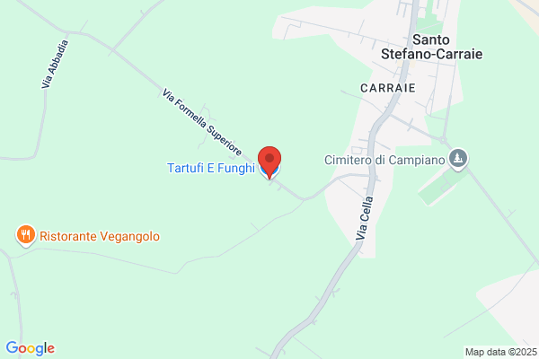 Tartufi e Funghi