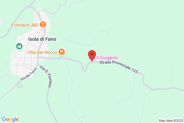 Il Giuggiolo Di Salamone Giovanna
