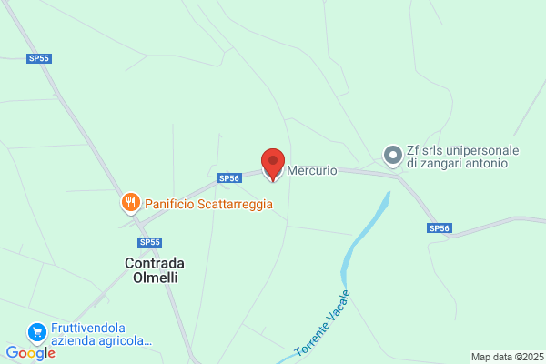 Mercurio Srl