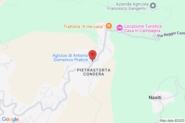 Pratico domenico