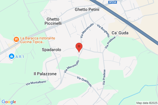 Severi marcello