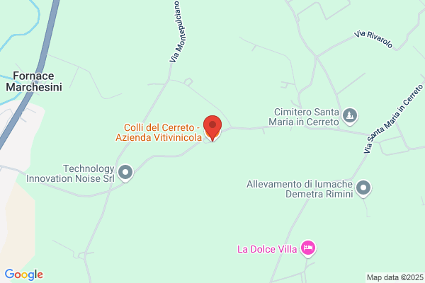 Colli del Cerreto - Azienda Vitivinicola