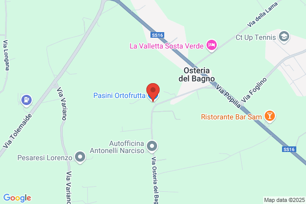 Pasini Ortofrutta Srl
