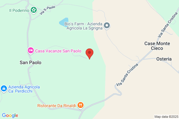 Pomponio furio