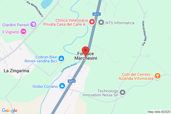 Marchesini ida