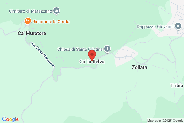 Selva bruno
