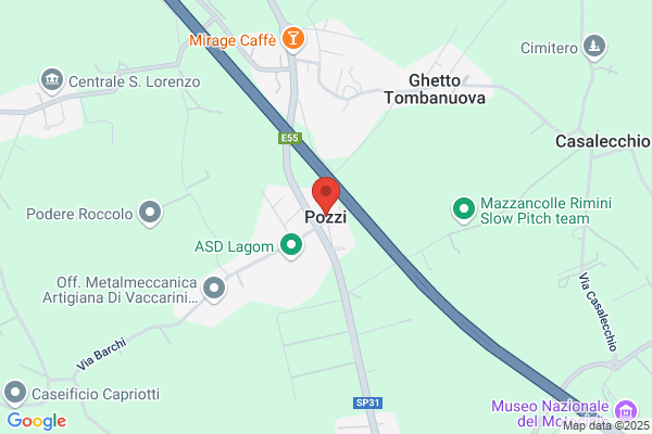 Pozzi domenico