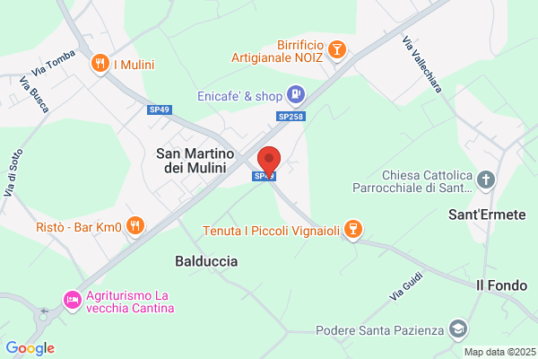 Guidi Grazia