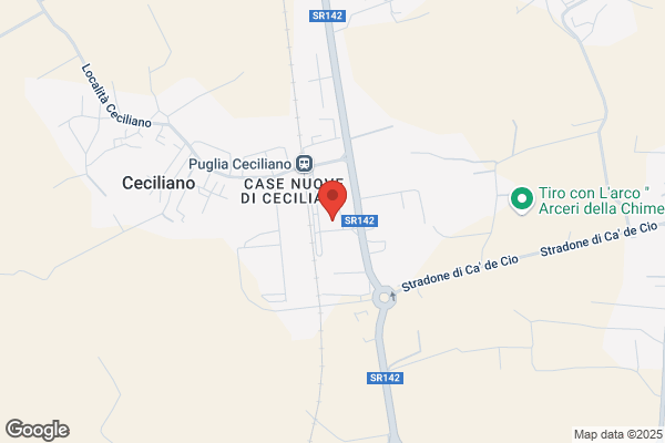 Fabbri Service Di Fabbri Edoardo & C. S.A.S.