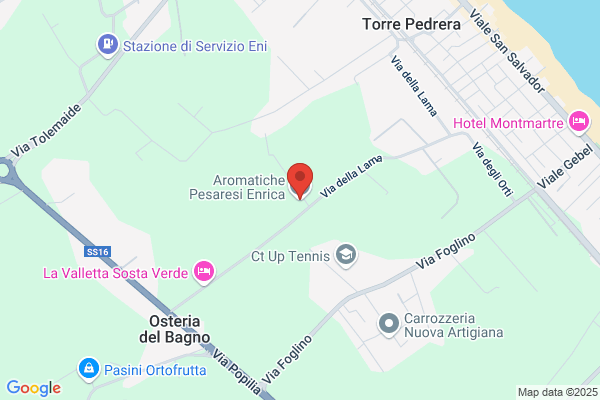 Pesaresi rino
