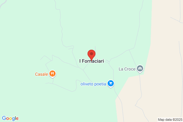Fornaciari Dolores