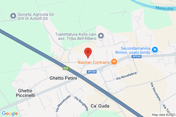 C.S. Confezioni E Spedizioni