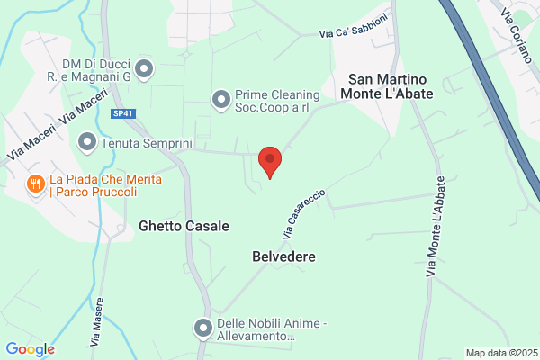Silla domenico