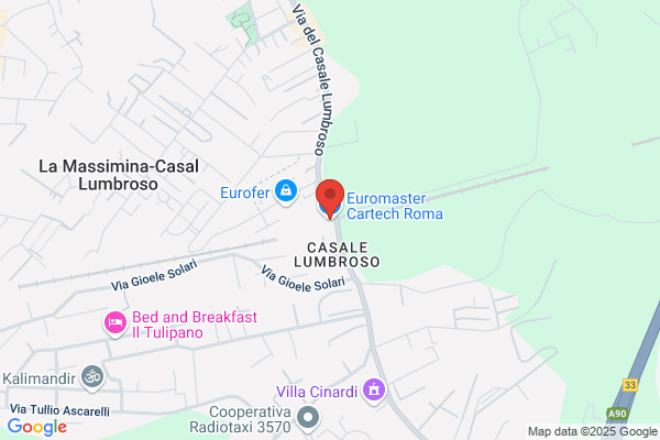 Euromaster Cartech Roma