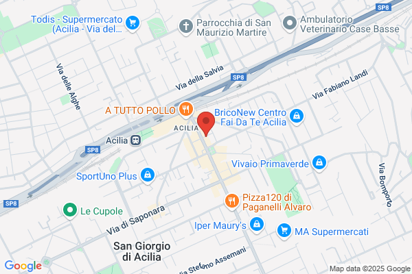 Gias Societa A Responsabilita Limitata