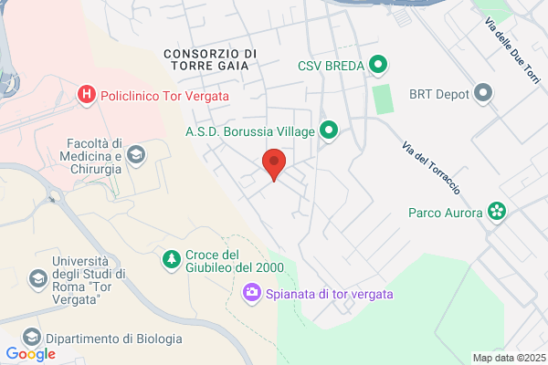 Euroservice & Consulting Srl