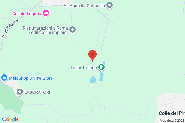 Fattoria Didattica Momigliano