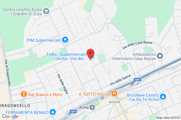 Todis - Supermercato (Acilia - Via del Poggio di Acilia)