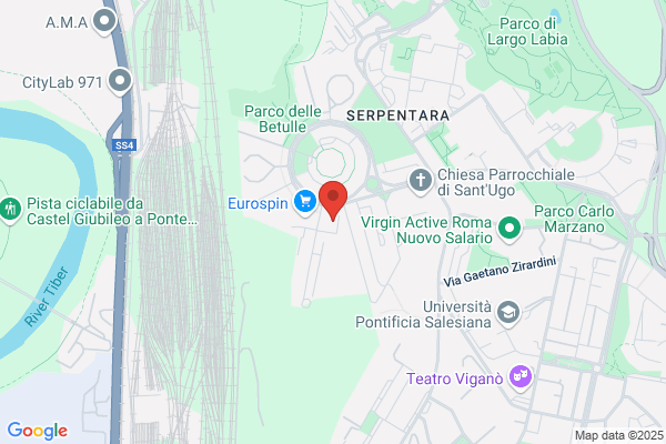 Todis - Supermercato (Roma - V.le Lina Cavalieri)